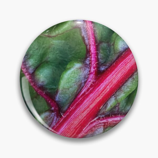 Item preview, Red chard designed and sold by Art in Nature.