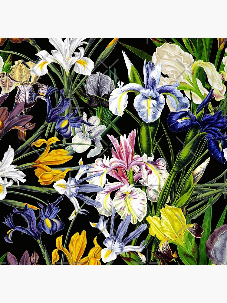 Victorian Iris Flower Pattern on Black by UtArt