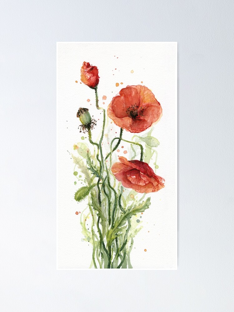 Red Poppies Watercolor Painting" Poster by olga-shvartsur  Redbubble