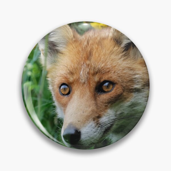 Item preview, Emerging Fox designed and sold by Gez Robinson.