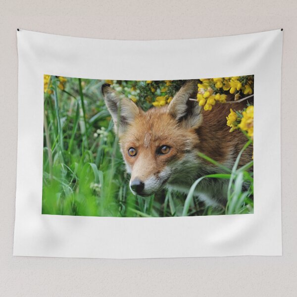 Item preview, Emerging Fox designed and sold by Gez Robinson.