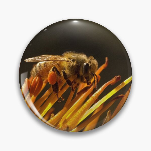 Artikelvorschau, Pollen packen entworfen und verkauft von Art in Nature.
