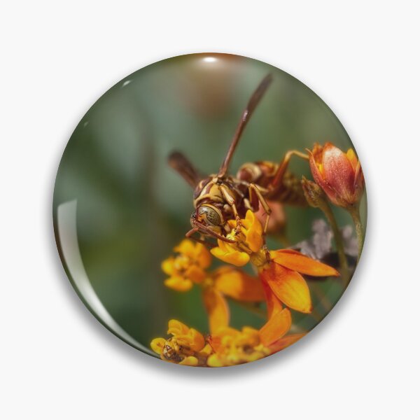 Item preview, Wasp on milkweed designed and sold by Art in Nature.