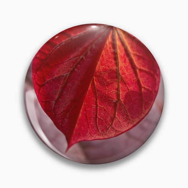 Item preview, Leafing out in red designed and sold by Art in Nature.
