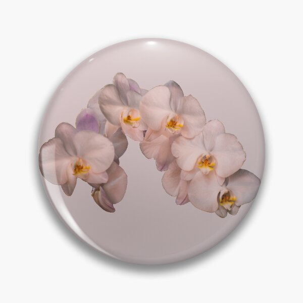 Item preview, White orchid designed and sold by Zina Stromberg.