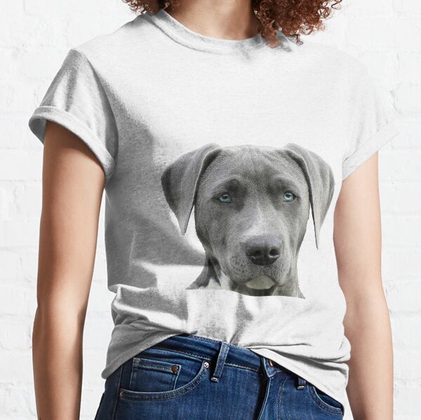 cesar millan t shirts