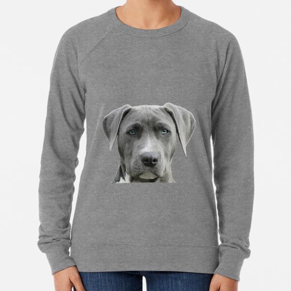 Cesar millan sale apparel