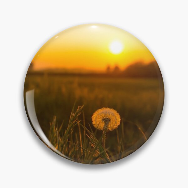 Item preview, #195 Dandelion Seed Head at Sunset in the Fields at Kegworth Village designed and sold by phutball.