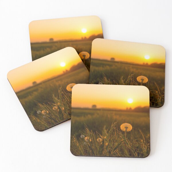 Item preview, #195 Dandelion Seed Head at Sunset in the Fields at Kegworth Village designed and sold by phutball.