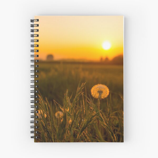Item preview, #195 Dandelion Seed Head at Sunset in the Fields at Kegworth Village designed and sold by phutball.