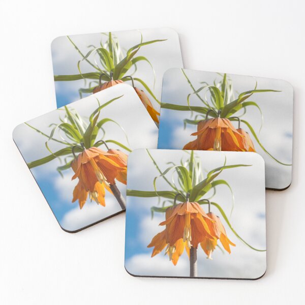 Item preview, Orange flower against blue sky designed and sold by lena-maximova.