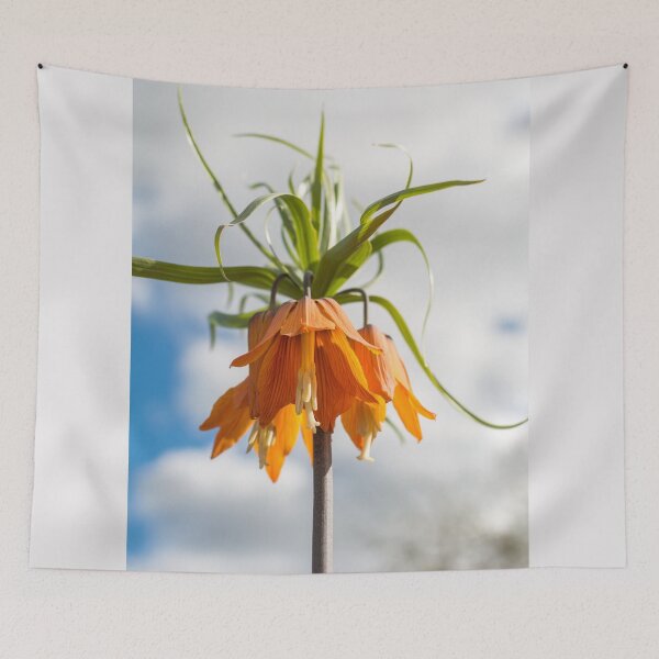 Item preview, Orange flower against blue sky designed and sold by lena-maximova.