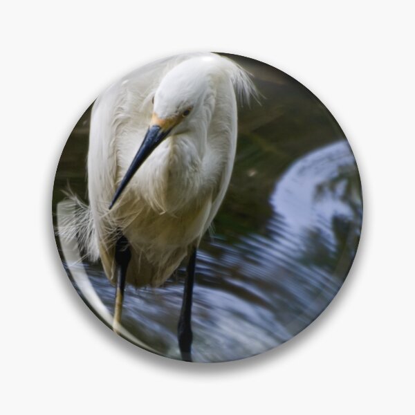 Item preview, Ruffled feathers designed and sold by Art in Nature.
