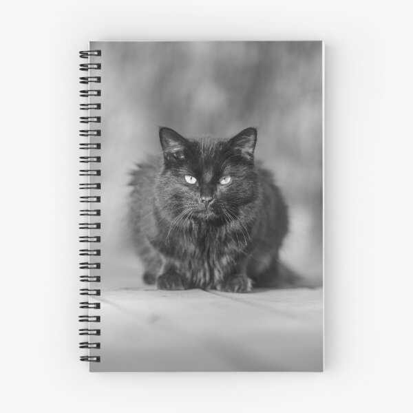 Item preview, Cat designed and sold by Luis Sandoval.