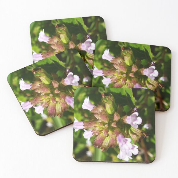 Item preview, Macro Mint In Lock Down 04/26/20  14:13 designed and sold by Mark Polk.