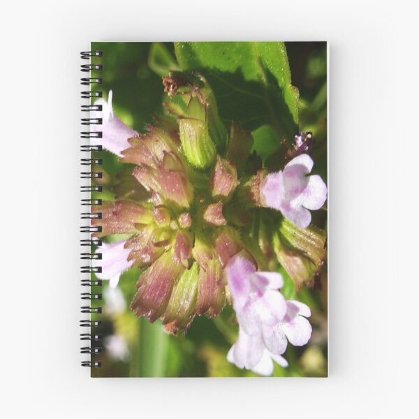 Item preview, Macro Mint In Lock Down 04/26/20  14:13 designed and sold by Mark Polk.