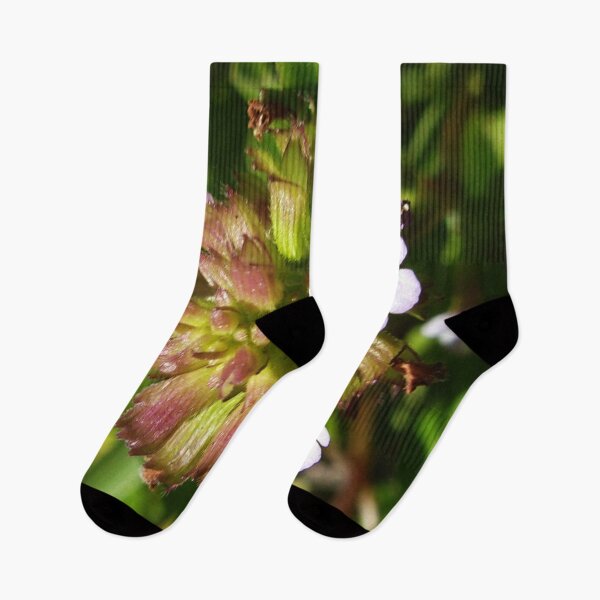 Item preview, Macro Mint In Lock Down 04/26/20  14:13 designed and sold by Mark Polk.