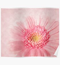Soft Poster