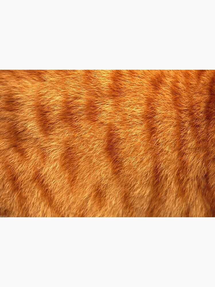 Katzen Fell von odessapapa