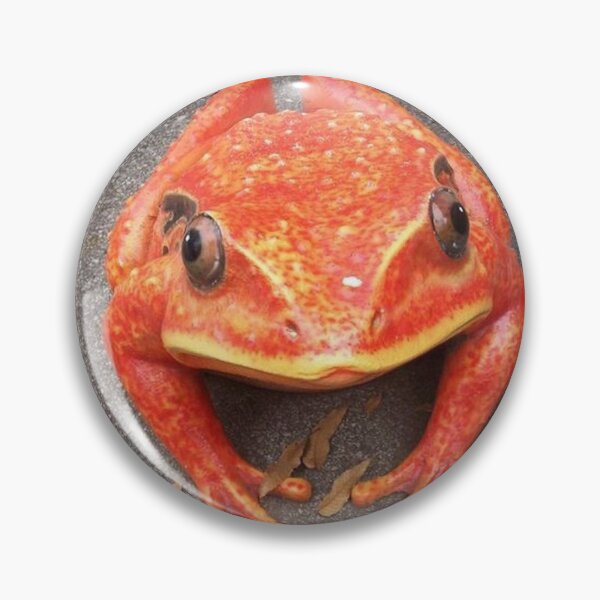 Item preview, Froggy Death Stare designed and sold by Headphones366.