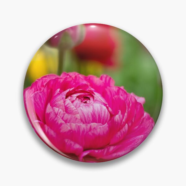 Item preview, Ranunculus garden designed and sold by Art in Nature.