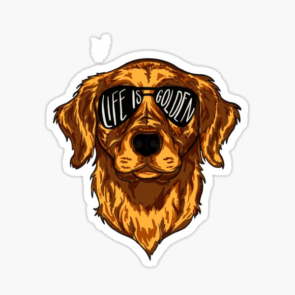 Golden retriever hotsell with sunglasses