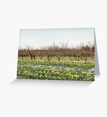 Spring Thaw Greeting Card