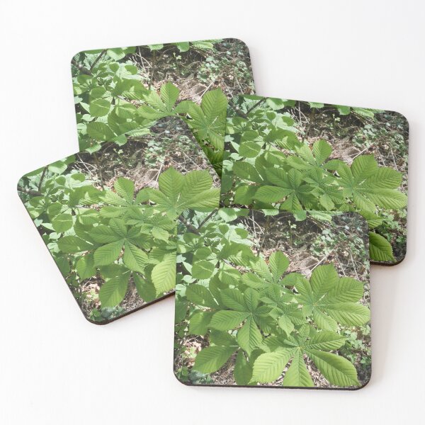 Item preview, Leaves that look like stars designed and sold by santoshputhran.