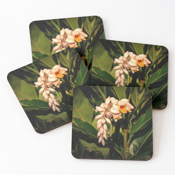 Item preview, Shell Ginger Grove designed and sold by Bob Hardy.