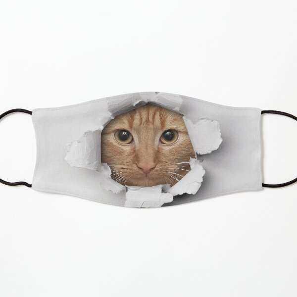 Cute cat's Face in a Hole Kids Mask