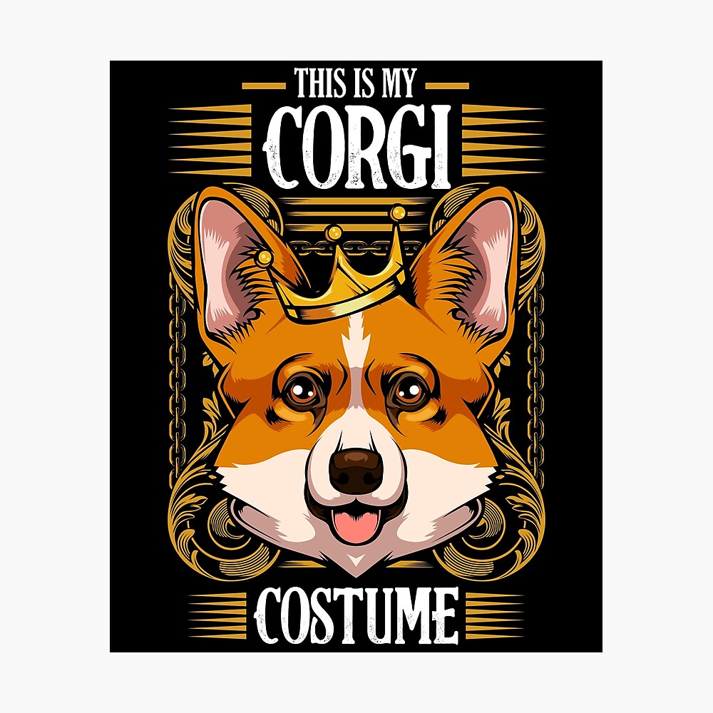 cute corgi costumes