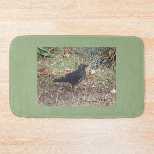 Item preview, Funny Walking Jackdaw Photograph designed and sold by naturegallery.