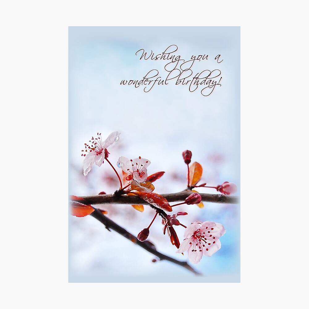 Ume Blossom Pink Flowers Plum Blossom Sakura Birthday Card Floral Blossom Card Greeting Card A5 White Recycled