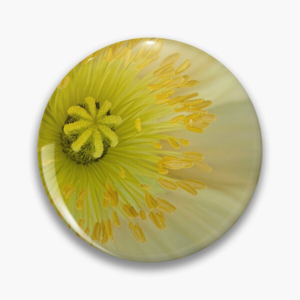 Item preview, Lemon sorbet designed and sold by Art in Nature.
