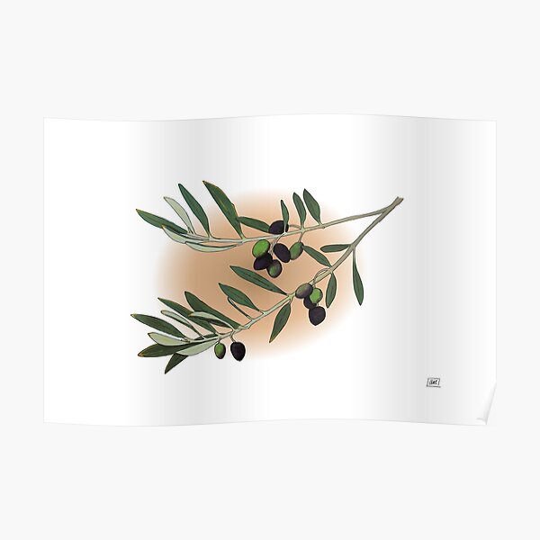 "Olive Branch" print Poster