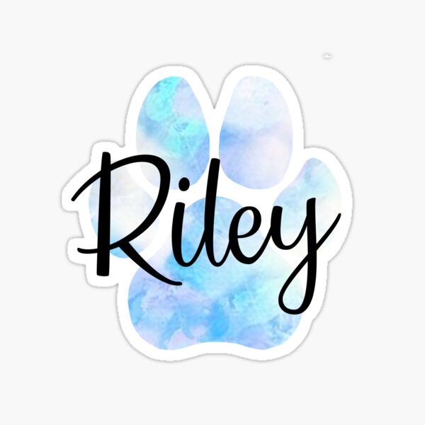 Riley Name Sign wth Crown Design for Litte Queen