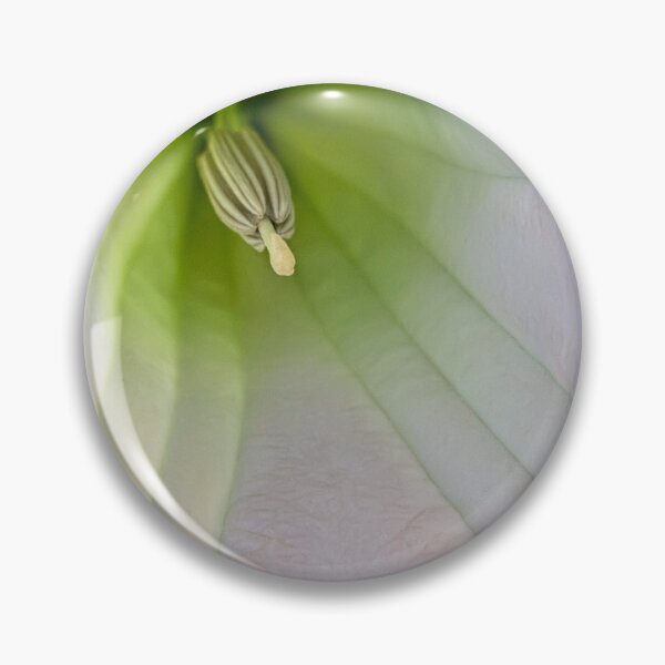 Item preview, Inside the trumpet designed and sold by Art in Nature.