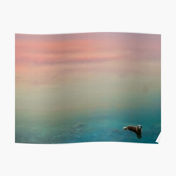 Hopper dans les nuages Poster