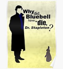 Bluebell Poster