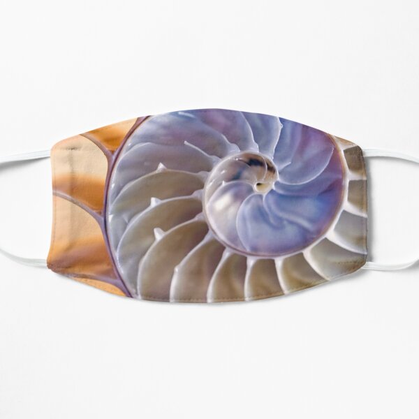 Chambered nautilus Mask