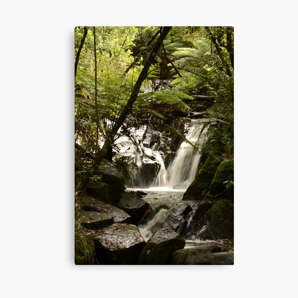Serenity Canvas Print