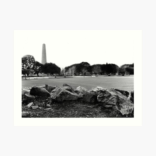 Art Print