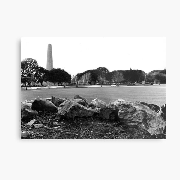 Metal Print