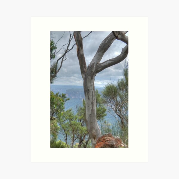 Item preview, Blue Gum View, Blackheath, NSW, Australia designed and sold by Adrian Paul.