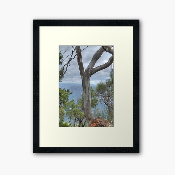 Item preview, Blue Gum View, Blackheath, NSW, Australia designed and sold by Adrian Paul.