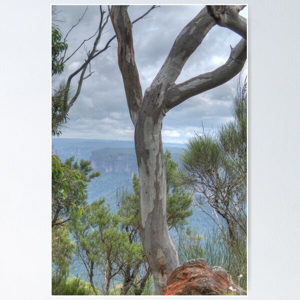 Item preview, Blue Gum View, Blackheath, NSW, Australia designed and sold by Adrian Paul.