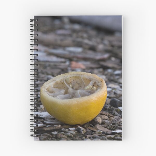Item preview, Delicious designed and sold by Jay Madden photographer.