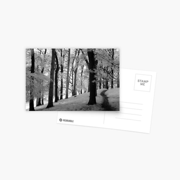Dream Like Moment In Infra-Red, Phoenix Park Postcard