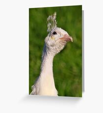 Hmmm Let Me Think About That For A Minute Greeting Card