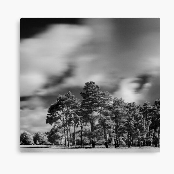 Infra-Red Phoenix Park Canvas Print